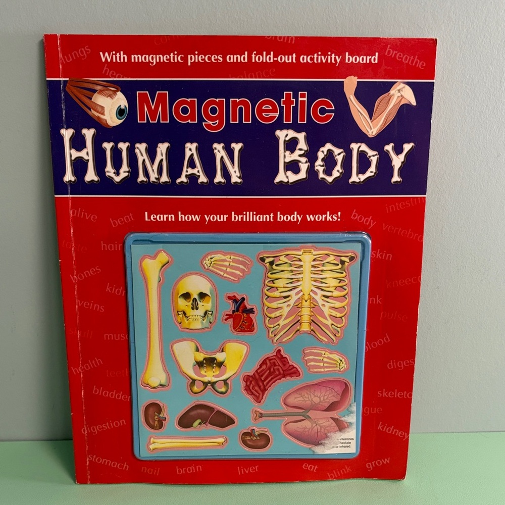 2007 Magnetic Human Body Educational Kids Book, Human Skeleton Magnets Toy
